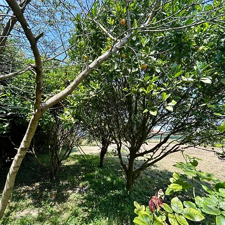 Dom wakacyjny La Ponderosa