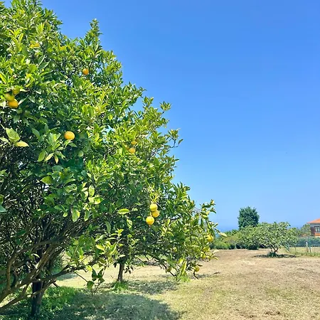 La Ponderosa Дом отдыха *