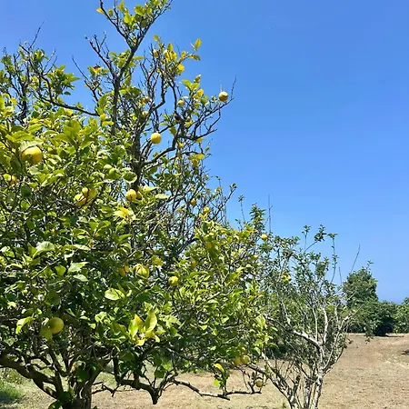 La Ponderosa Дом отдыха *